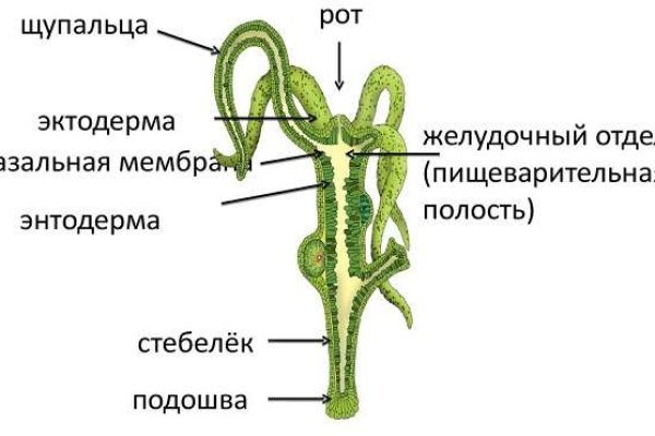 Кракен даркнет ссылка зеркало