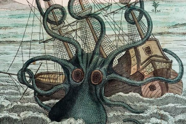 Kraken наркшоп