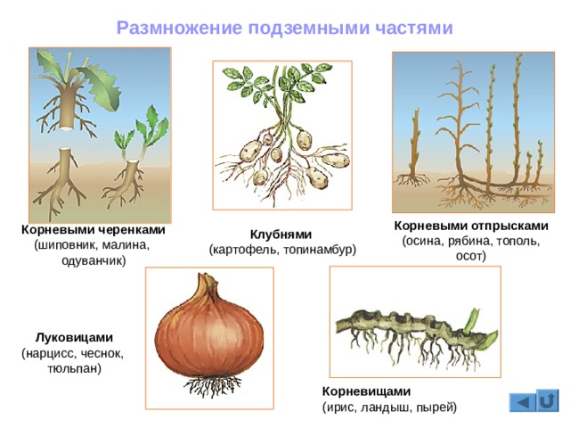 2krn at официальный